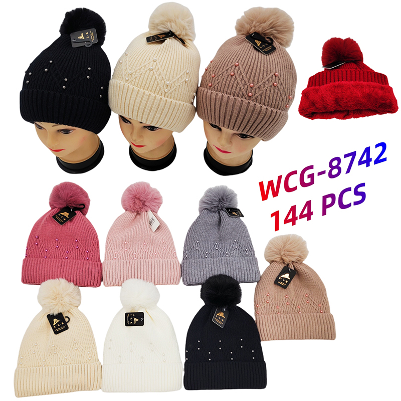 WCG-8742 CS144